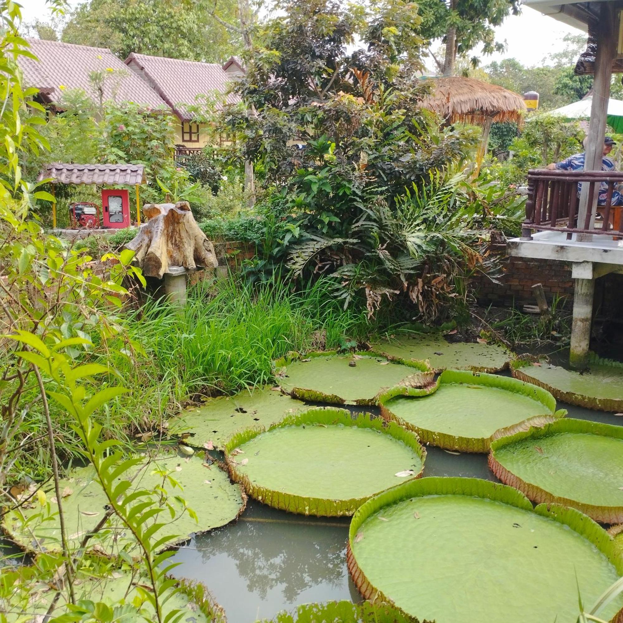 Brown House Resort Can Tho Exteriér fotografie